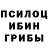 Псилоцибиновые грибы мухоморы Joice NSG