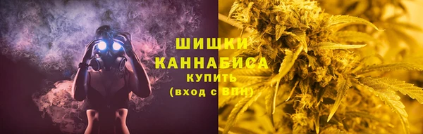 стаф Алзамай
