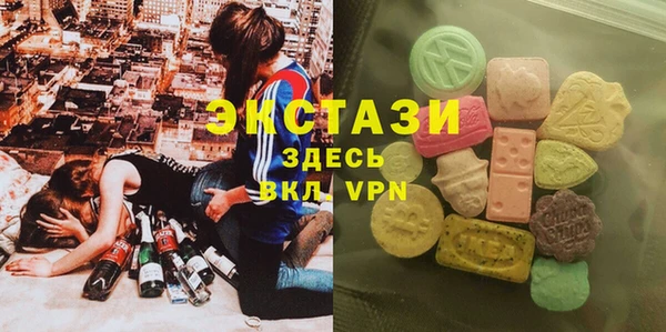 стаф Алзамай