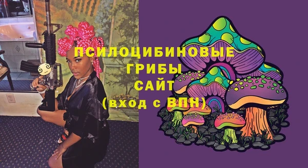 меф Алексин