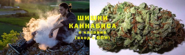 прущие грибы Алексеевка