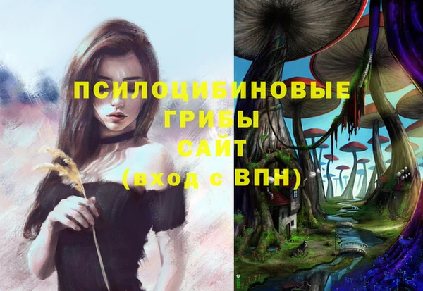 прущие грибы Алексеевка