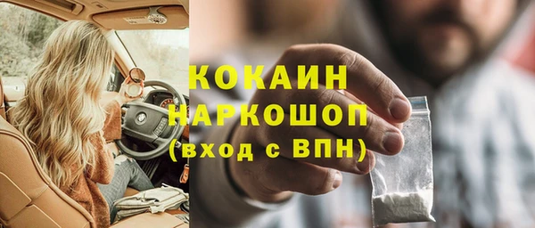 стаф Алзамай