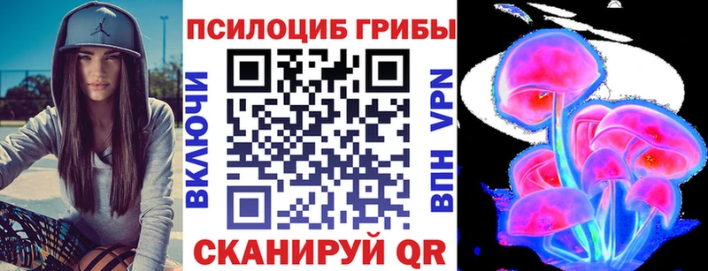 omg tor Нарьян-Мар Псилоцибиновые грибы MAGIC MUSHROOMS