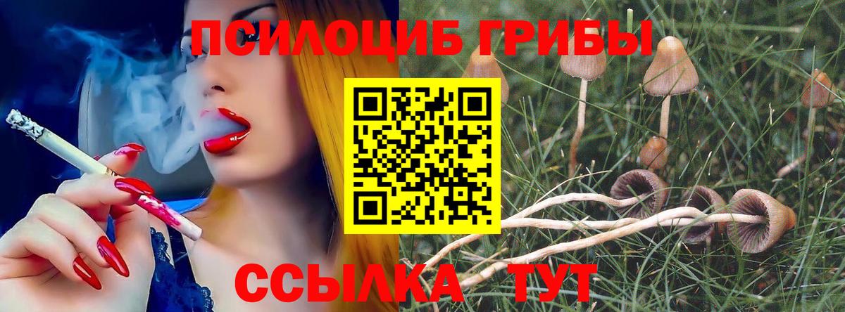 Галлюциногенные грибы Cubensis Нарьян-Мар