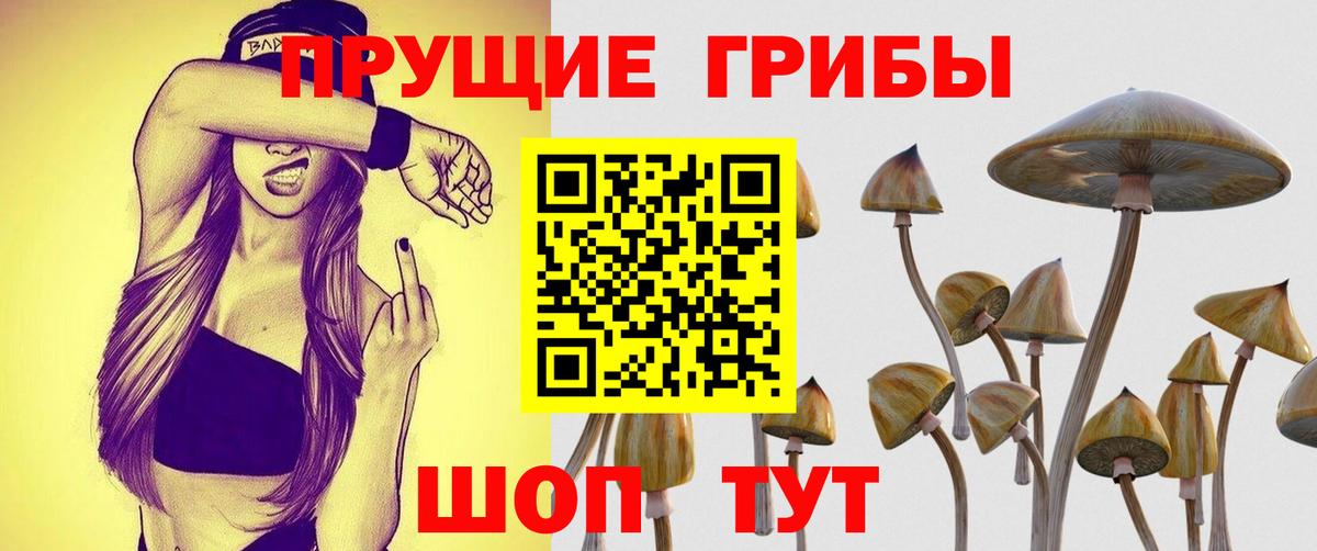 Галлюциногенные грибы MAGIC MUSHROOMS  Псилоцибиновые грибы MAGIC MUSHROOMS  Вход с VPN  Нарьян-Мар 